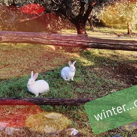 Hacienda Private Pool And Jacuzzi