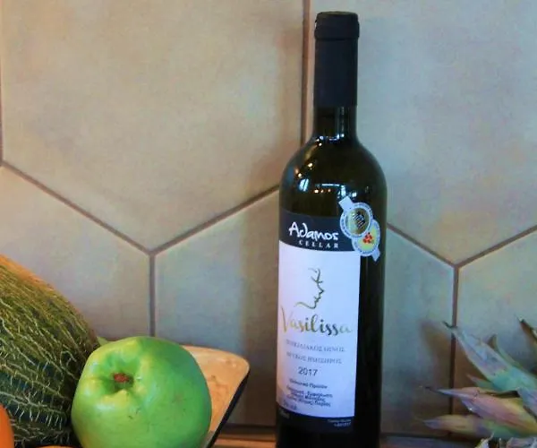 Hacienda Private Pool With Jacuzzi And Sauna Paralía