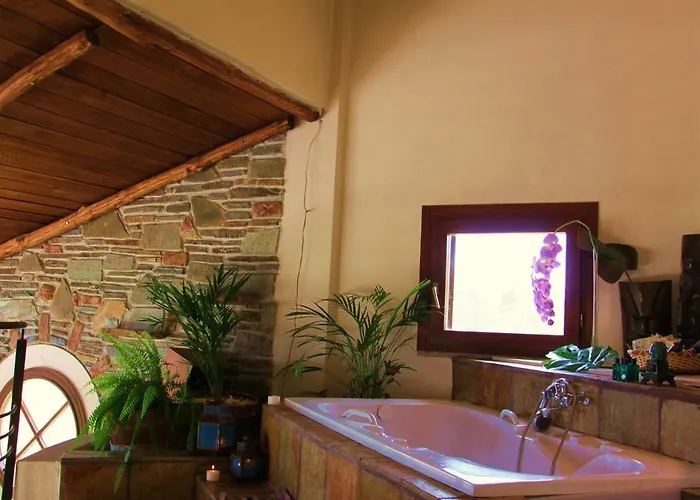 Hacienda Private Pool With Jacuzzi And Sauna Paralía